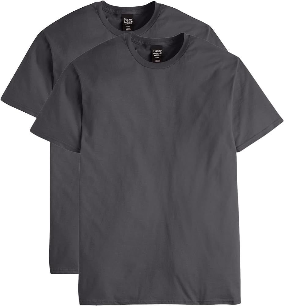 Hanes mens Nano Premium Cotton T-shirt (Pack of 2)